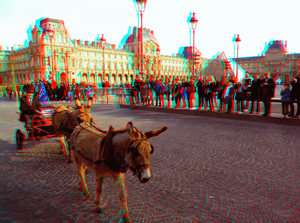 equus