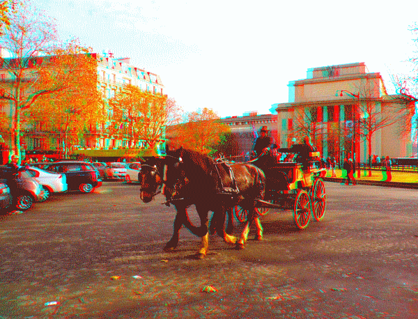 equus