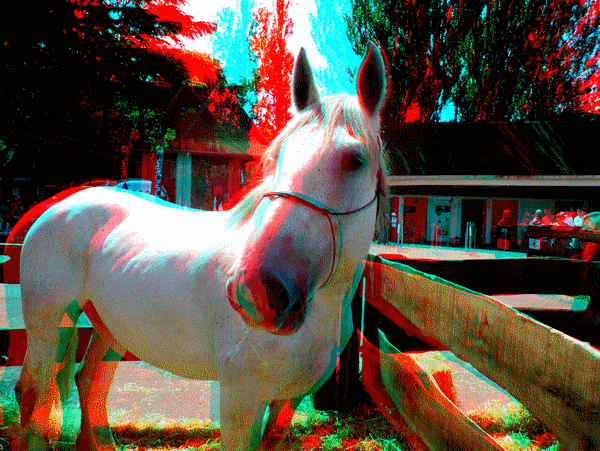 equus