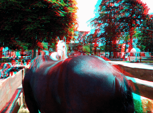 equus