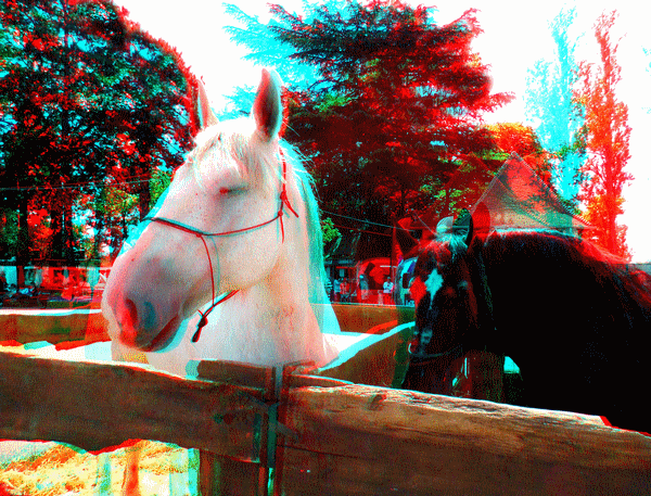 equus
