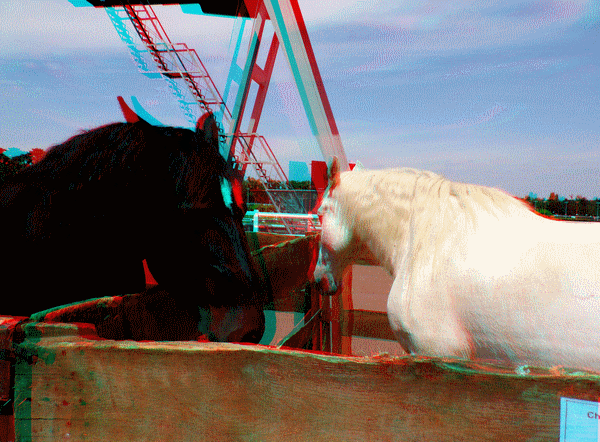 equus