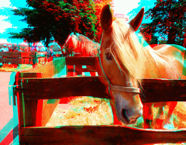 equus