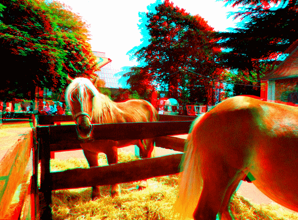 equus