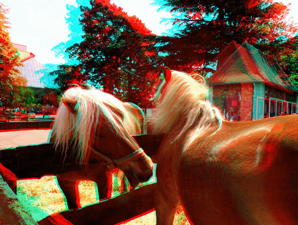 equus