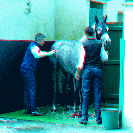 equus