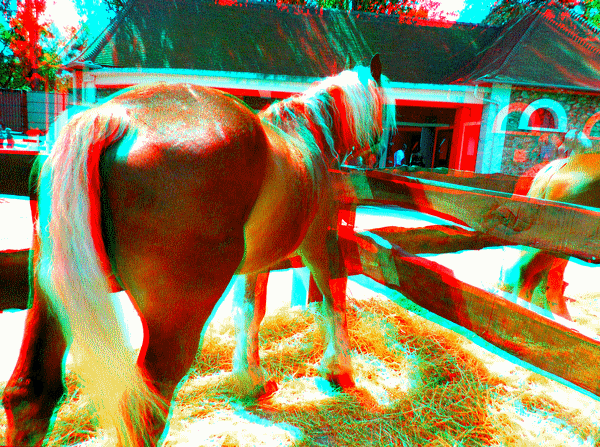 equus