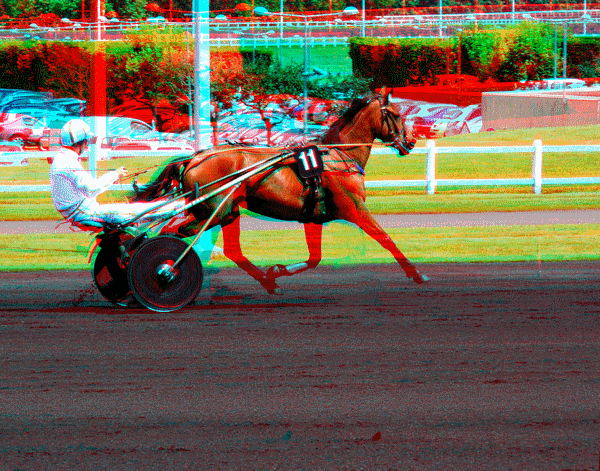 equus