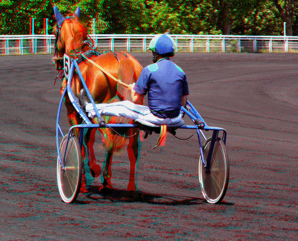 equus