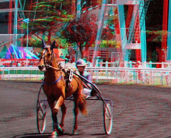 equus