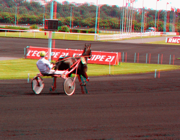equus