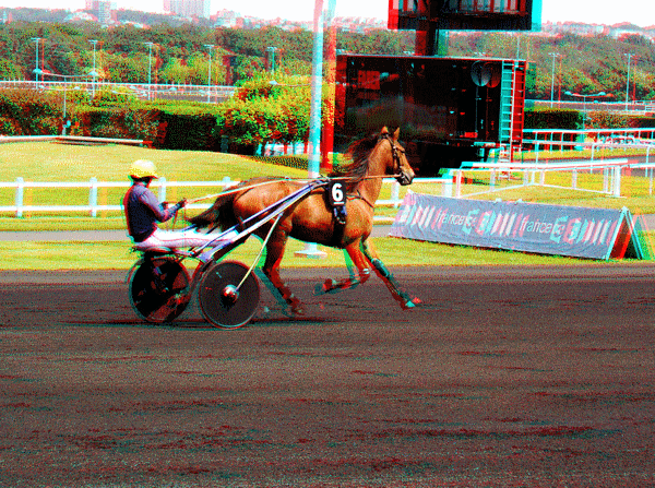 equus