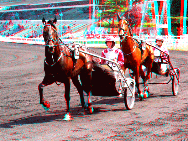 equus