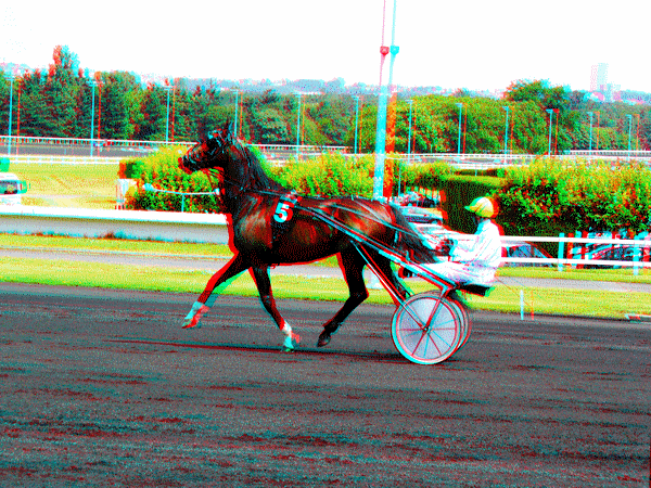 equus