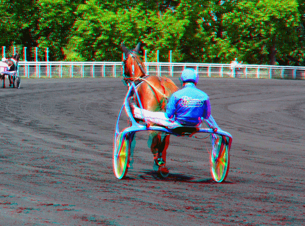 equus