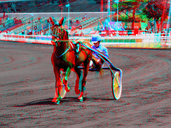 equus
