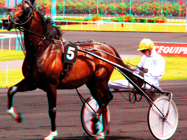 equus