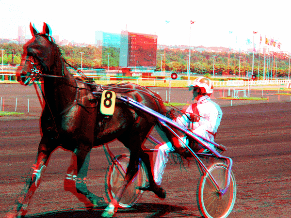equus