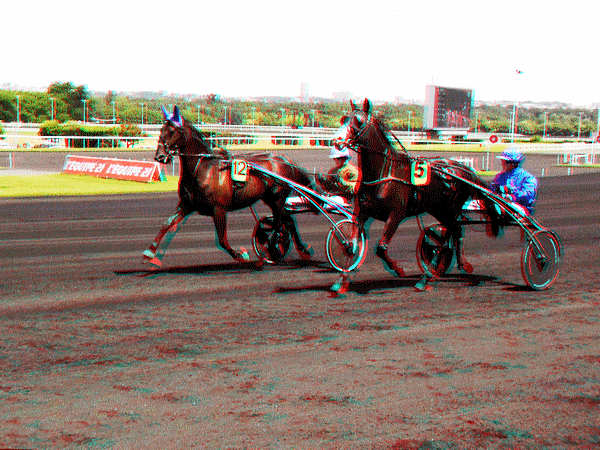 equus