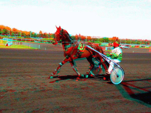equus