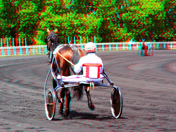 equus