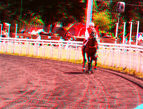 equus