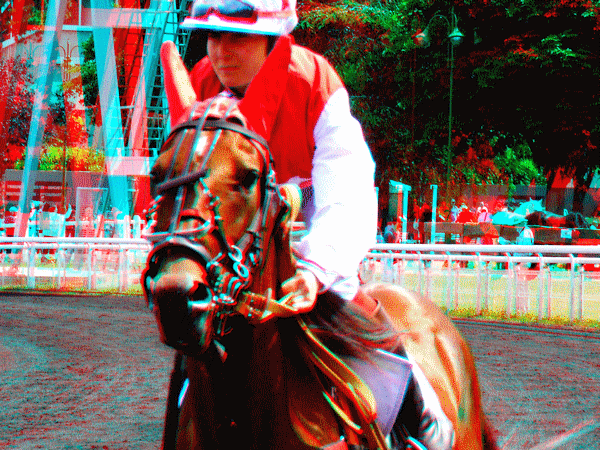 equus