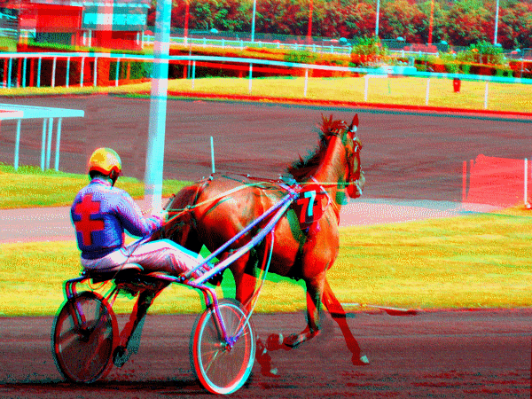 equus