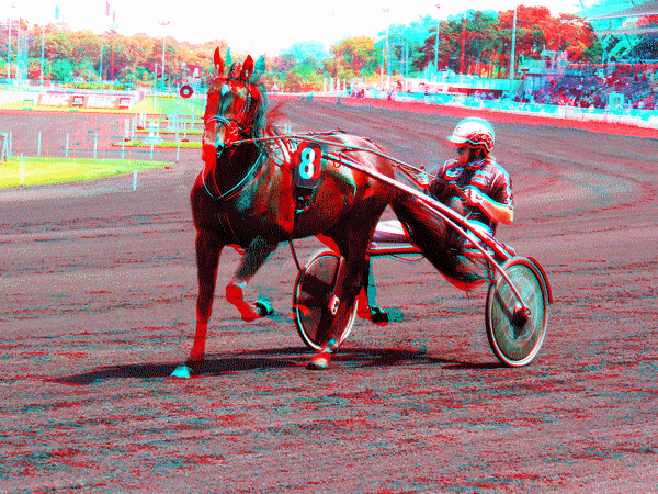 equus