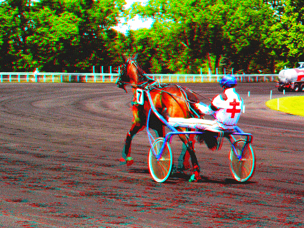 equus