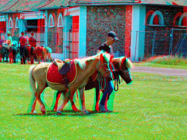 equus