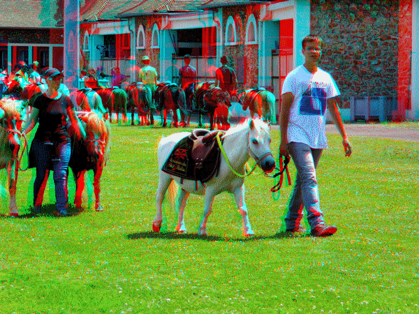 equus