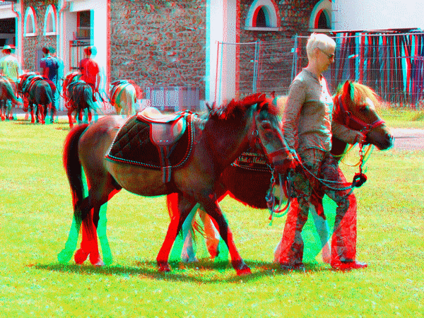 equus