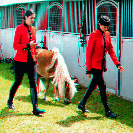equus