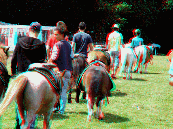 equus