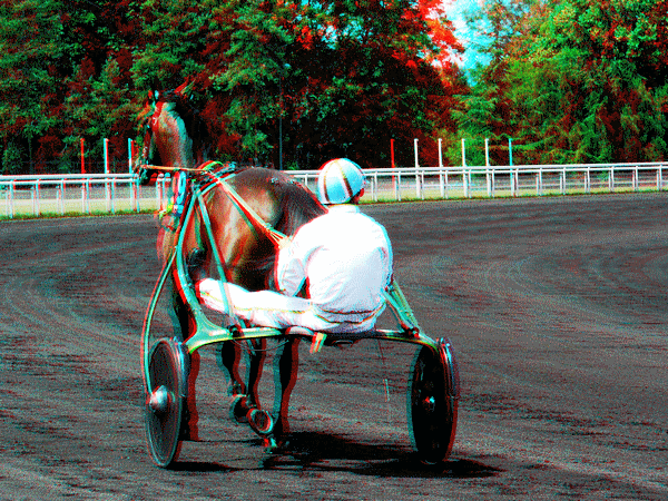 equus