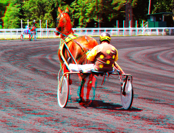 equus
