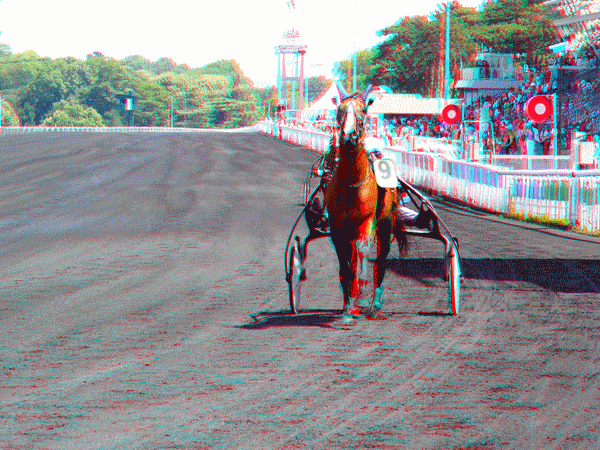 equus