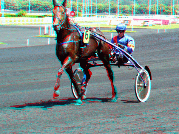 equus