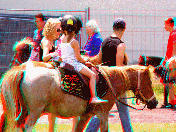 equus