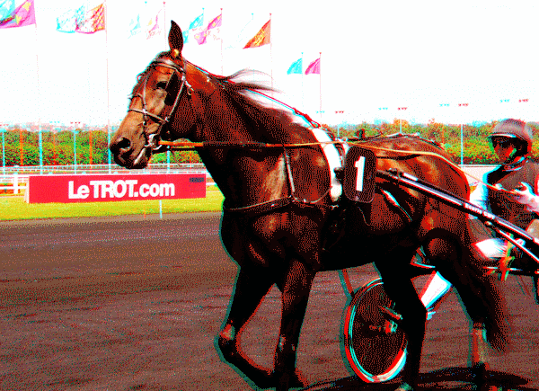 equus