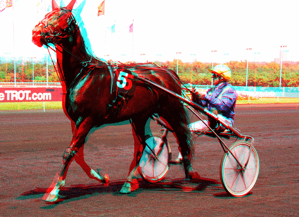 equus