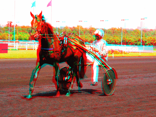 equus