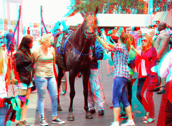equus