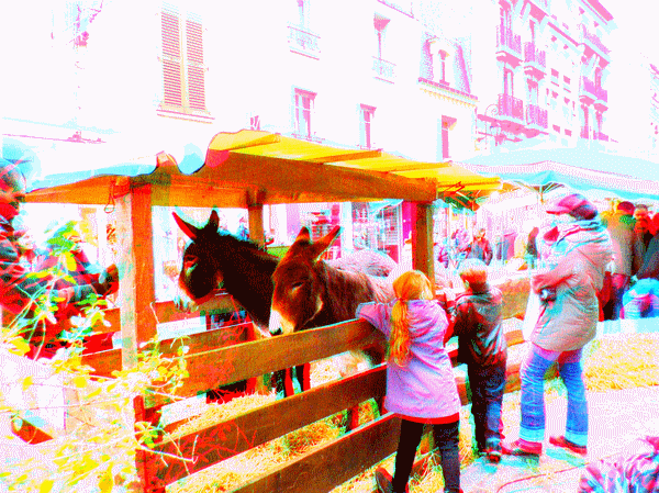 equus