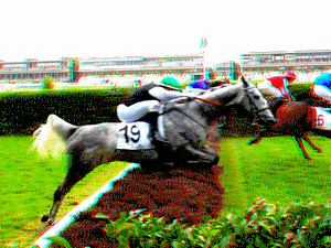 equus