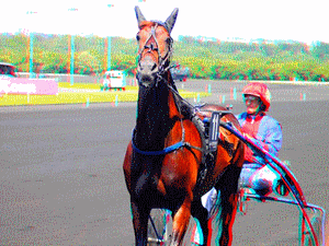 equus
