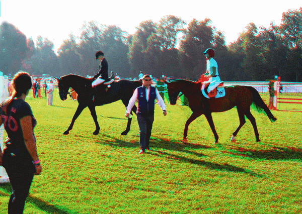 equus