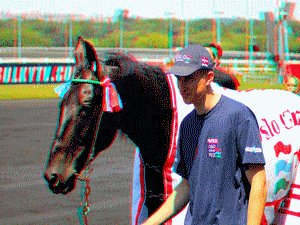 equus