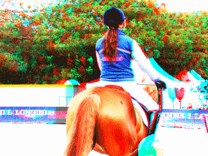 equus